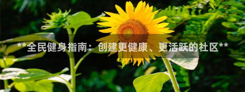 尊龙网站注册网：**全民健身指南：创建更健康、更活跃的社