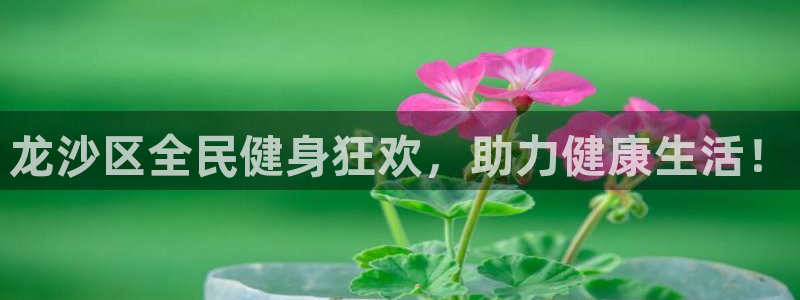 尊龙t600：龙沙区全民健身狂欢，助力健康生活！