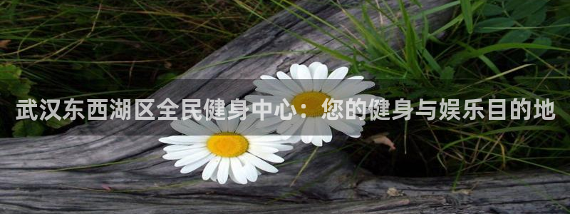 尊龙官网网站：武汉东西湖区全民健身中心：您的健身与娱乐目