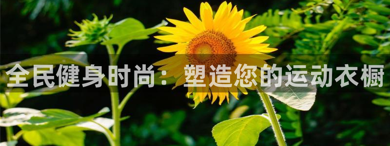 尊龙凯时存款多久到账：全民健身时尚：塑造您的运动衣橱