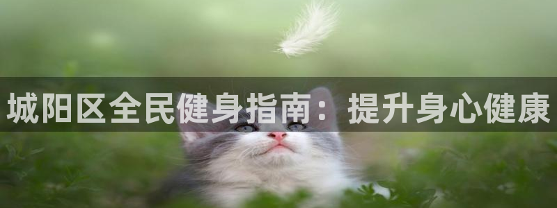 尊龙凯时法拉币：城阳区全民健身指南：提升身心健康