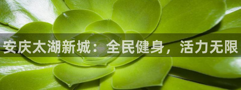 尊龙集团有限公司是国企吗：安庆太湖新城：全民健身，活力无