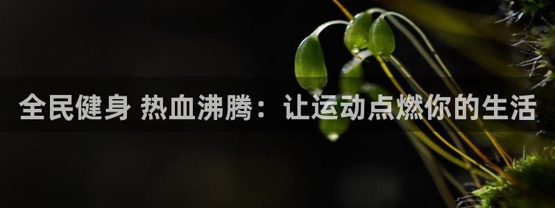 凯时kb88·中国官方网站：全民健身 热血沸腾：让运动点