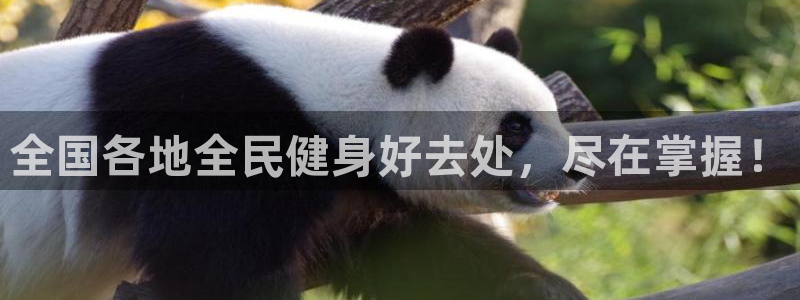 d88尊龙平台开户：全国各地全民健身好去处，尽在掌握！