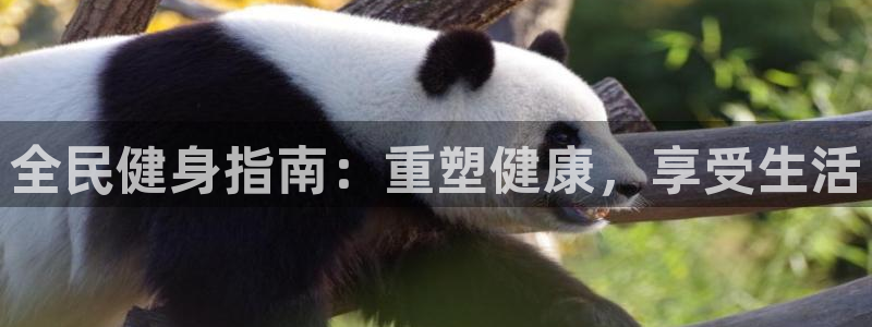 尊龙凯时正规吗：全民健身指南：重塑健康，享受生活
