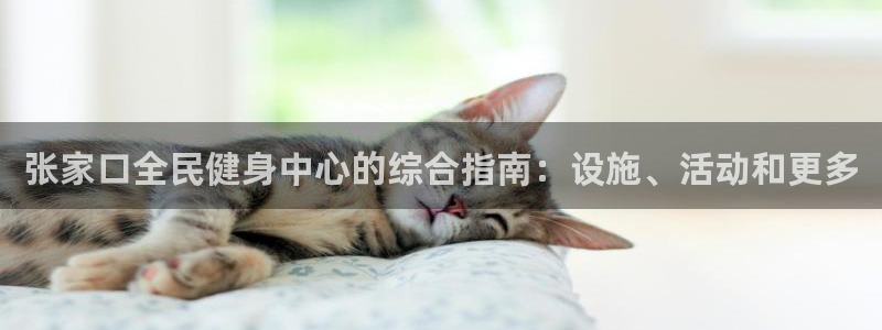 尊龙官方：张家口全民健身中心的综合指南：设施、活动和更多