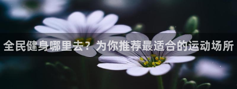 尊龙科技：全民健身哪里去？为你推荐最适合的运动场所