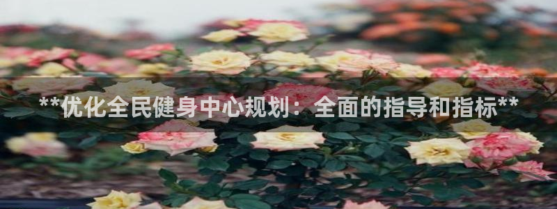 尊龙新版App下载：**优化全民健身中心规划：全面的指导