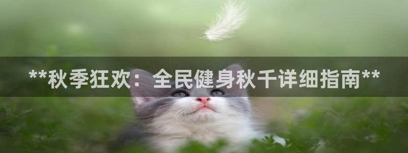 尊龙凯时人生就博：**秋季狂欢：全民健身秋千详细指南**