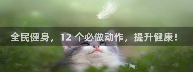 尊龙凯时代理佣金发不发：全民健身，12 个必做动作，提升