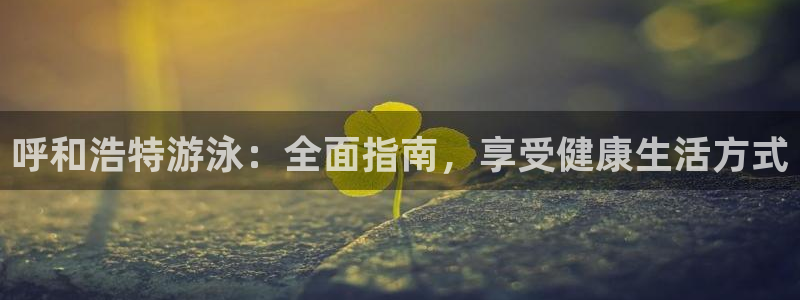 KB88凯时官网：呼和浩特游泳：全面指南，享受健康生活方