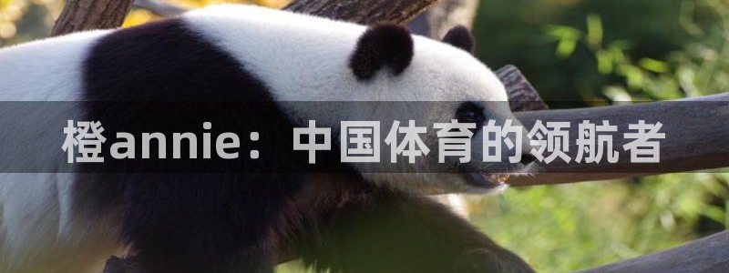 尊龙目前情况