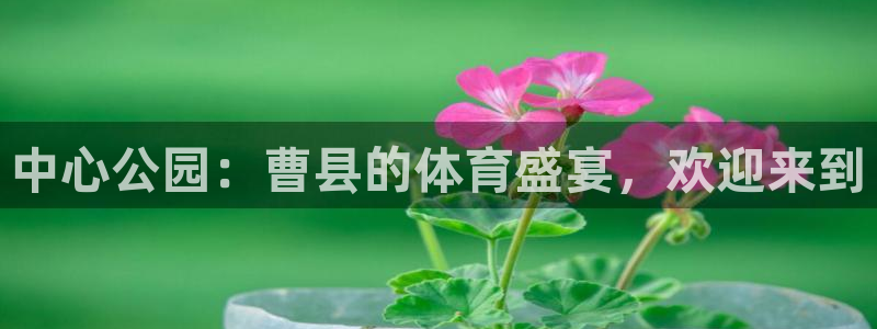 凯时网上官方网站