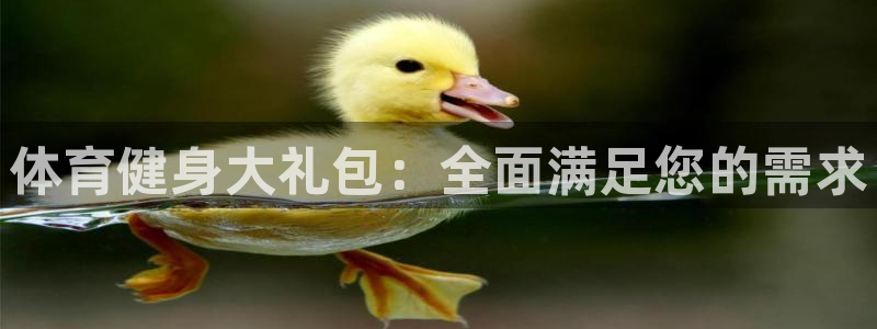 尊龙官网手