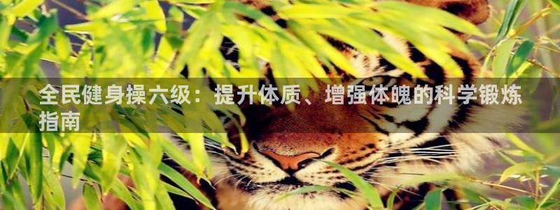 尊龙凯时 人生就是搏 平台：全民健身操六级：提升体质、增