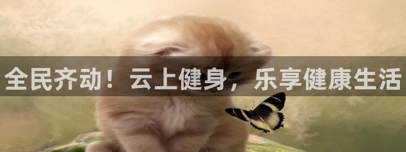 尊龙手机版下载