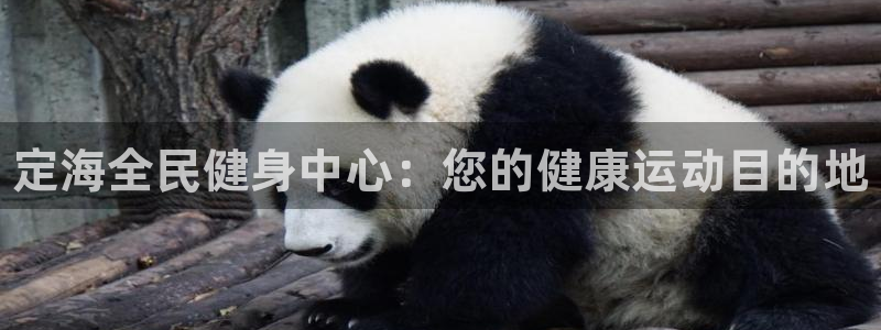 d88尊龙可靠送38元：定海全民健身中心：您的健康运动目的地