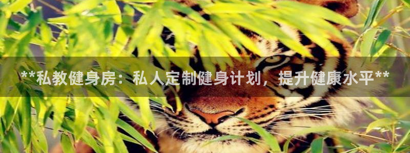 尊龙新版App下载：**私教健身房：私人定制健身计划，提