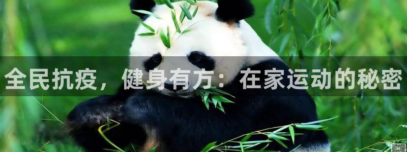 尊龙2016：全民抗疫，健身有方：在家运动的秘密