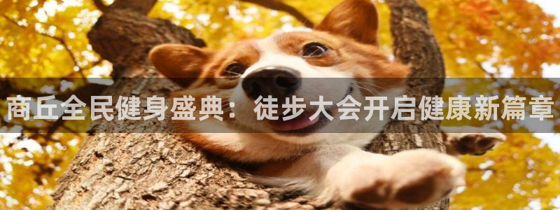 尊龙实业 吴友良：商丘全民健身盛典：徒步大会开启健康新篇章