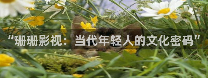 丫丫视频