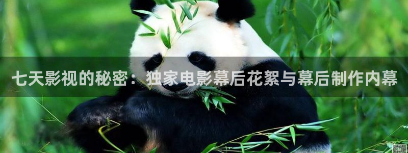 丫丫影院在线播放