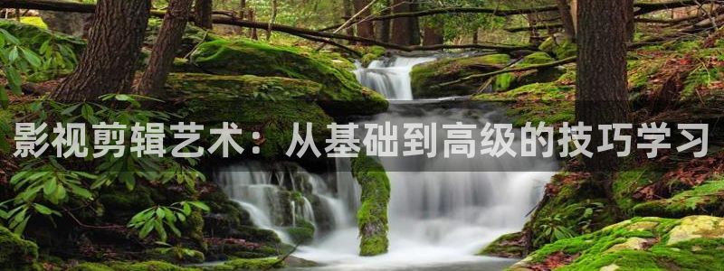 丫丫私人影院