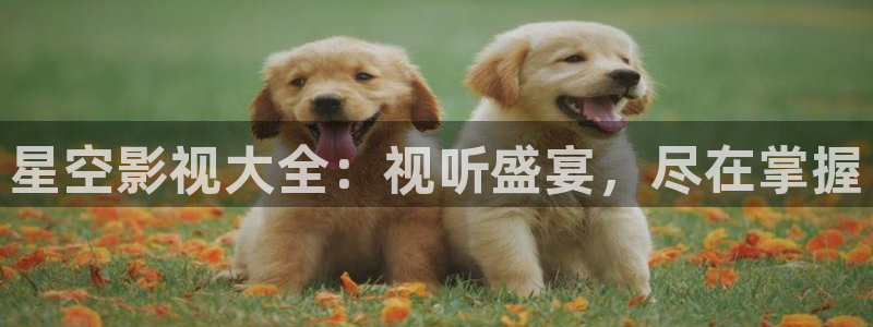 丫丫影院电视剧在线播放