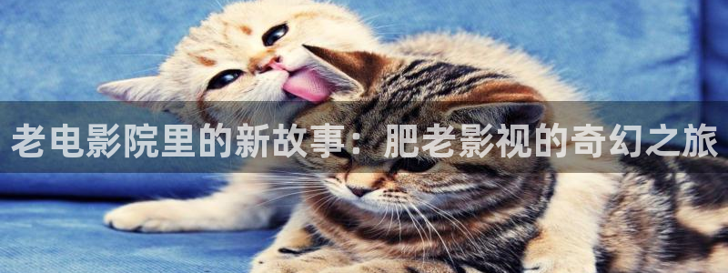 高清丫丫私人影院