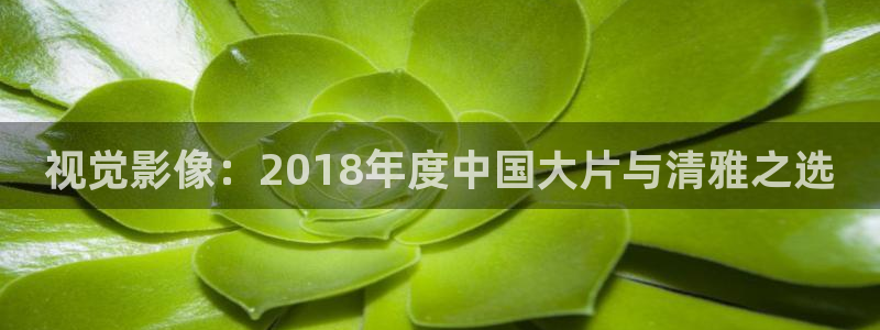 丫丫影院免费观看电视剧丫丫6080