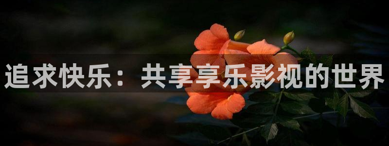 丫丫影院免费在线看电视剧