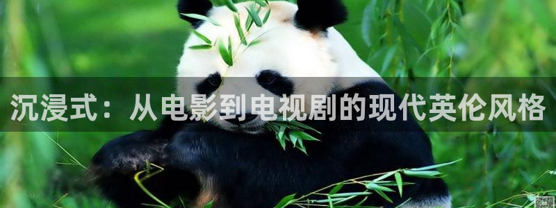 高清丫丫私人影院