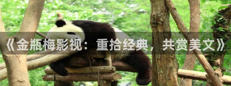 丫丫影院在线播放