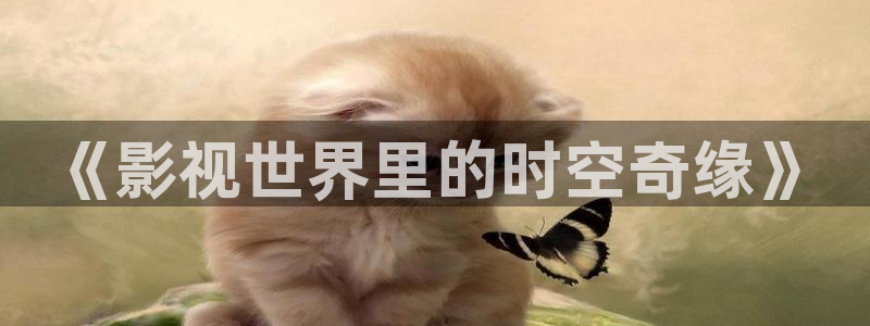 丫丫影视