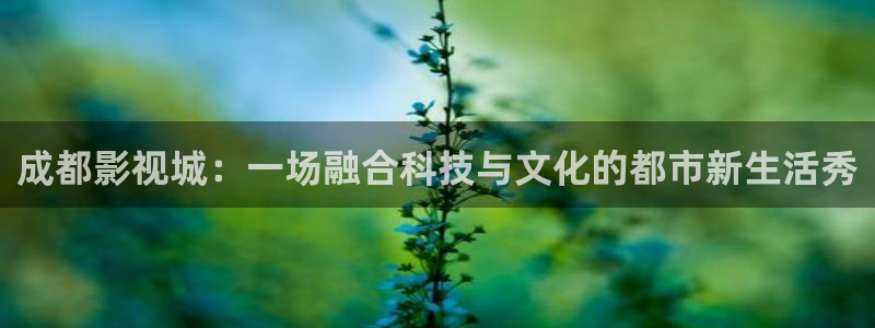 丫丫影院免费在线看电视剧