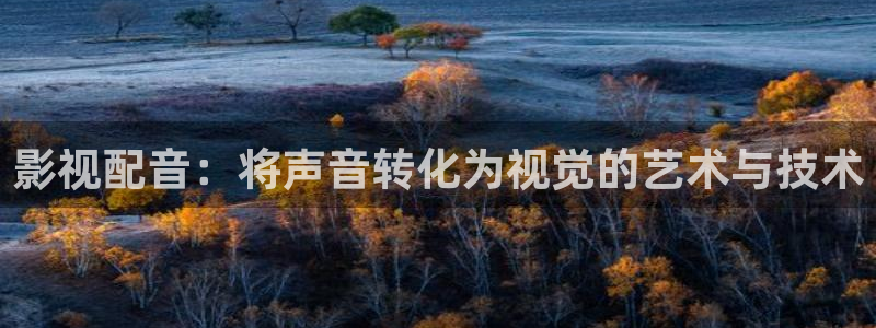 丫丫6080新视觉影院