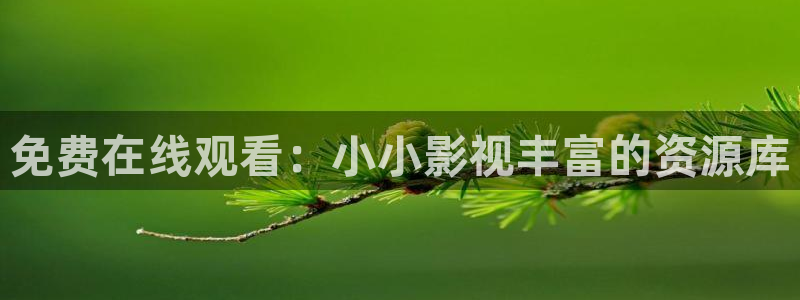 丫丫6080